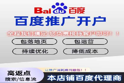 百度运营推广策略：成功案例解析